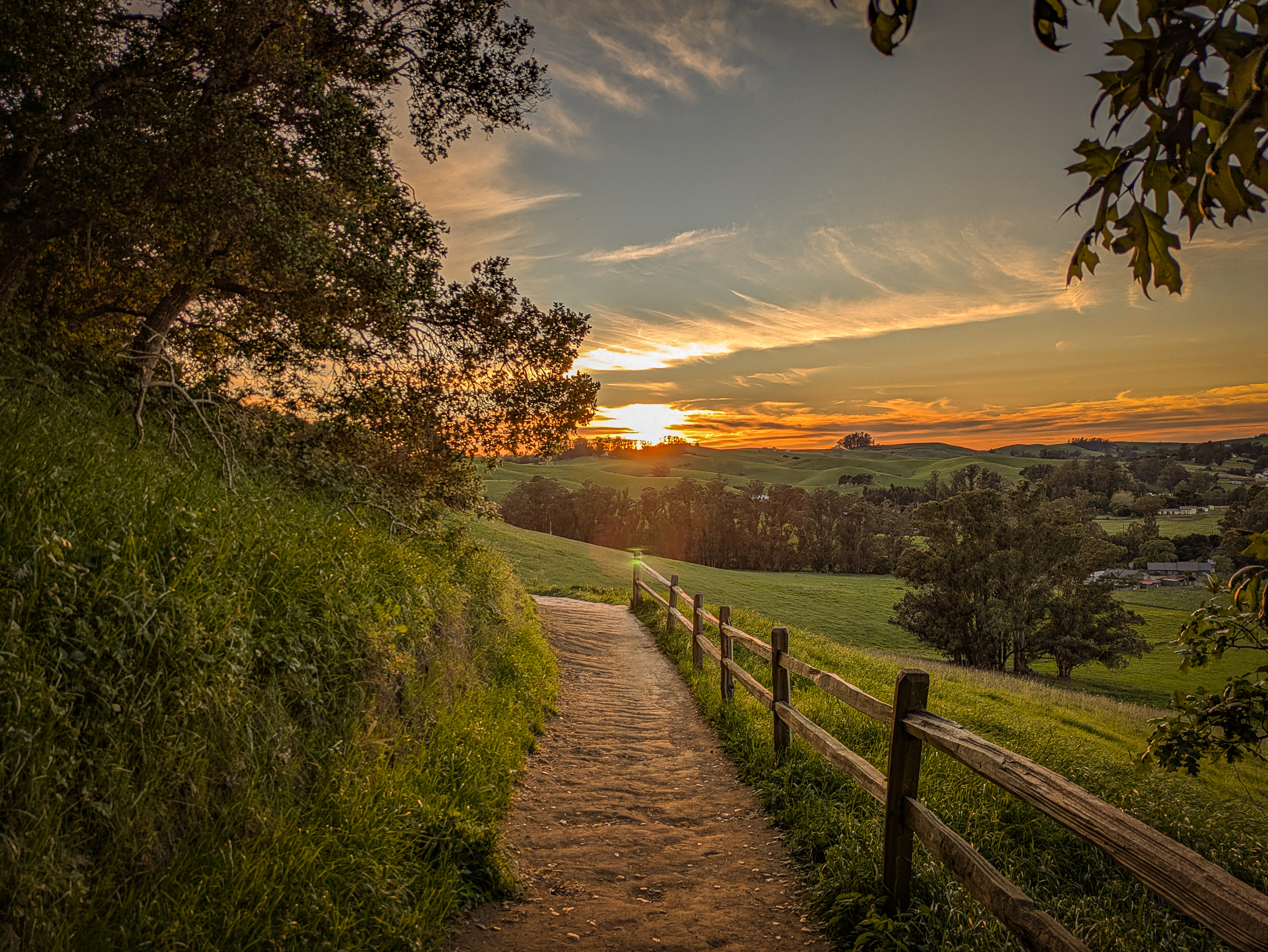 Golden hour sunset along a fenced hillside trail with sweeping views of Petaluma's rolling hills